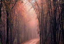 英超-哈兰德双响 曼城2-0战胜热刺领先阿森纳2分.