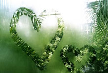 曝国足收官战定重庆，4月初将公布，散场或成难点，放弃福地沈阳.