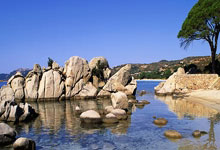 阿尔特塔：对梅里诺的表现满意；萨卡很可能国际比赛日后回归.